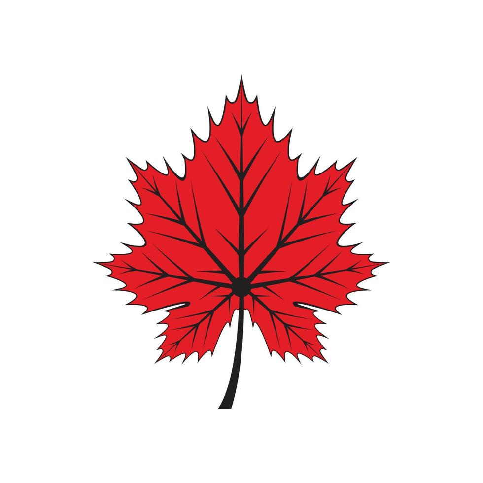 Maple leaf logo Template vector icon illustration design