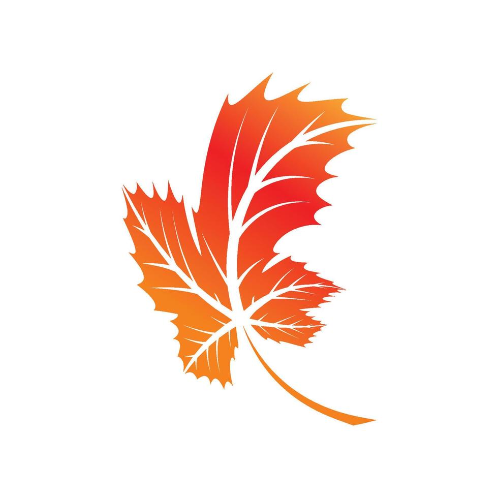 Maple leaf logo Template vector icon illustration design