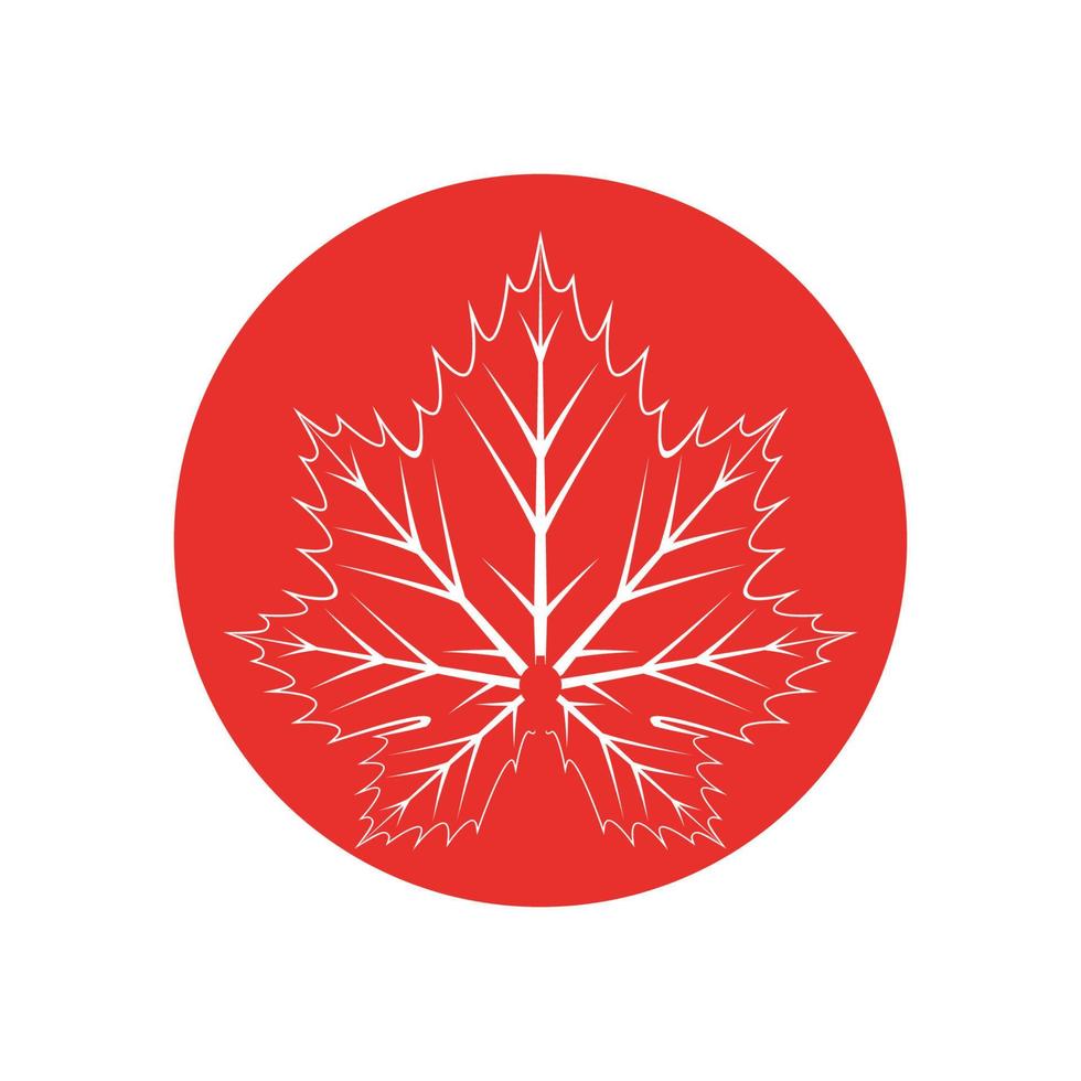 Maple leaf logo Template vector icon illustration design