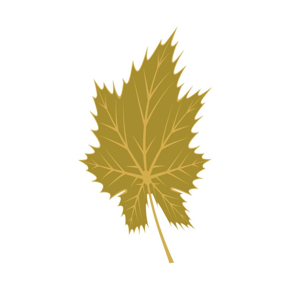 Maple leaf logo Template vector icon illustration design