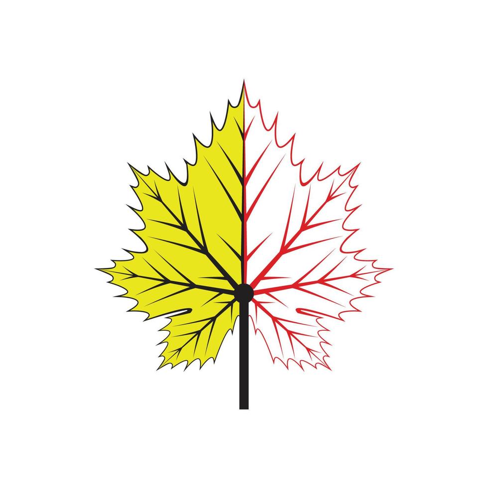 Maple leaf logo Template vector icon illustration design