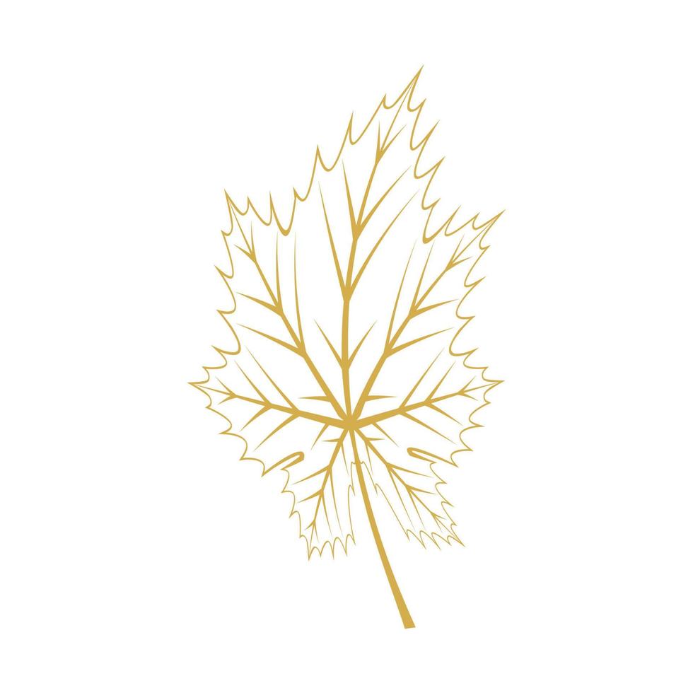 Maple leaf logo Template vector icon illustration design