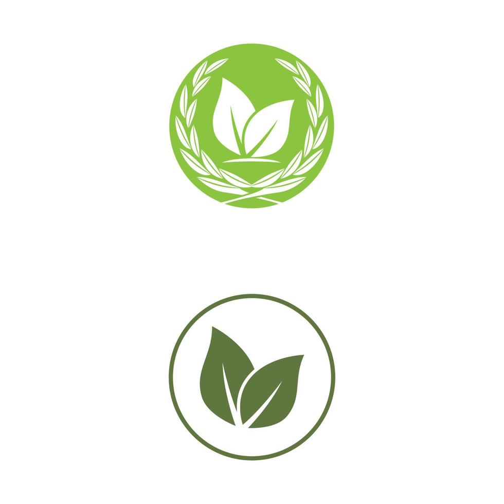 Green leaf illustration nature logo design vector