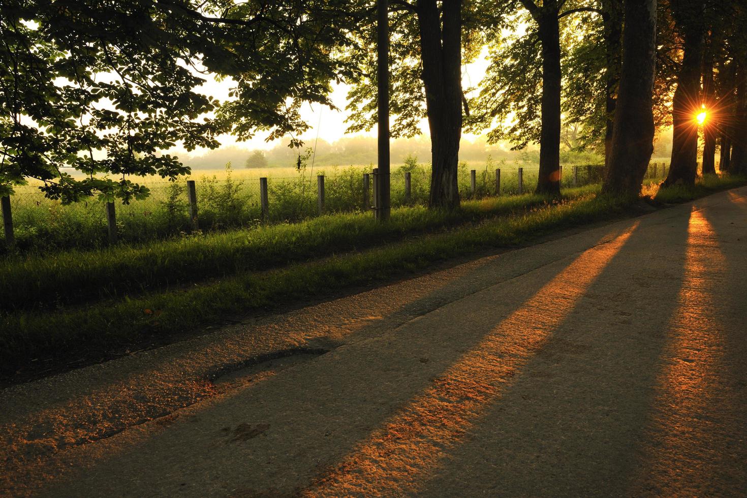 sunrise in beautiful alley photo