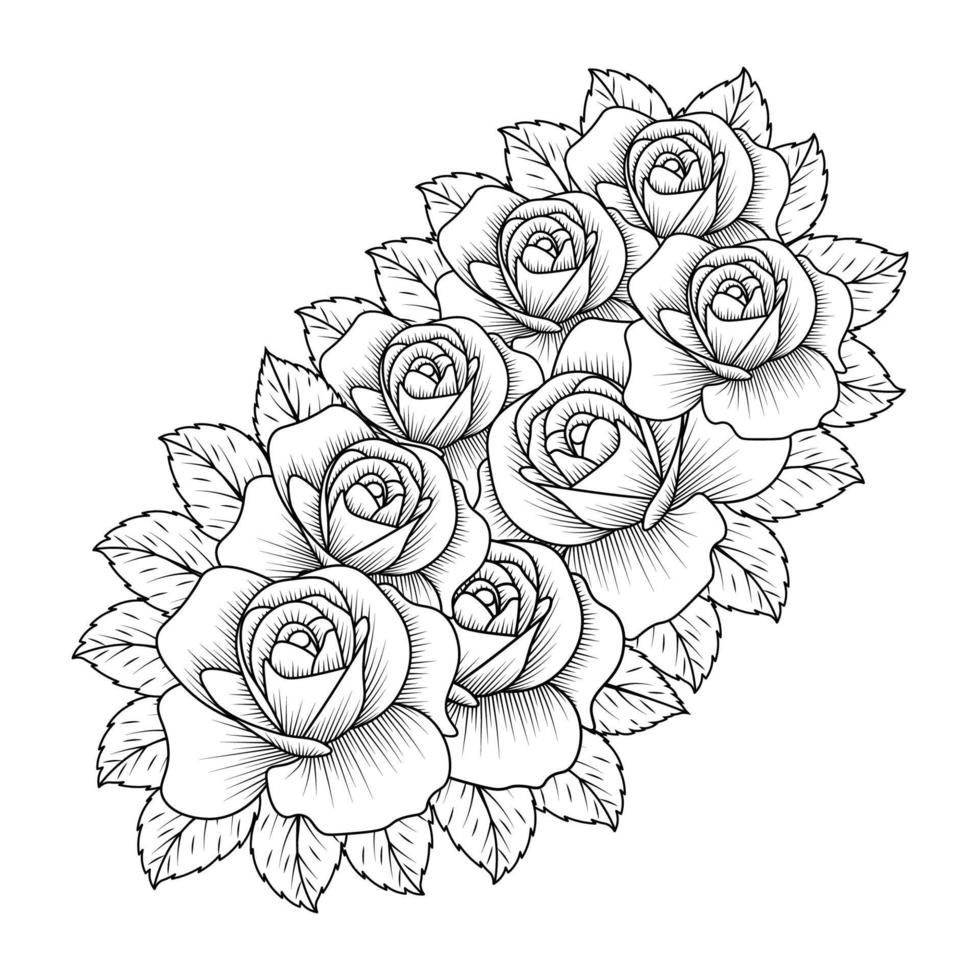 rose illustration of pencil line art with doodle style adult coloring book page with leaves easy sketch vector