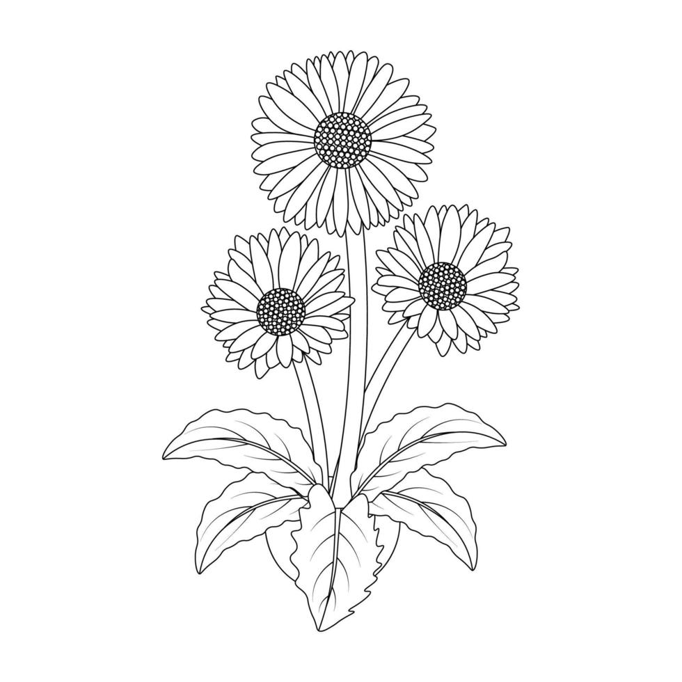 daisy flower drawing kids coloring page with pencil line art design in detailed vector graphic