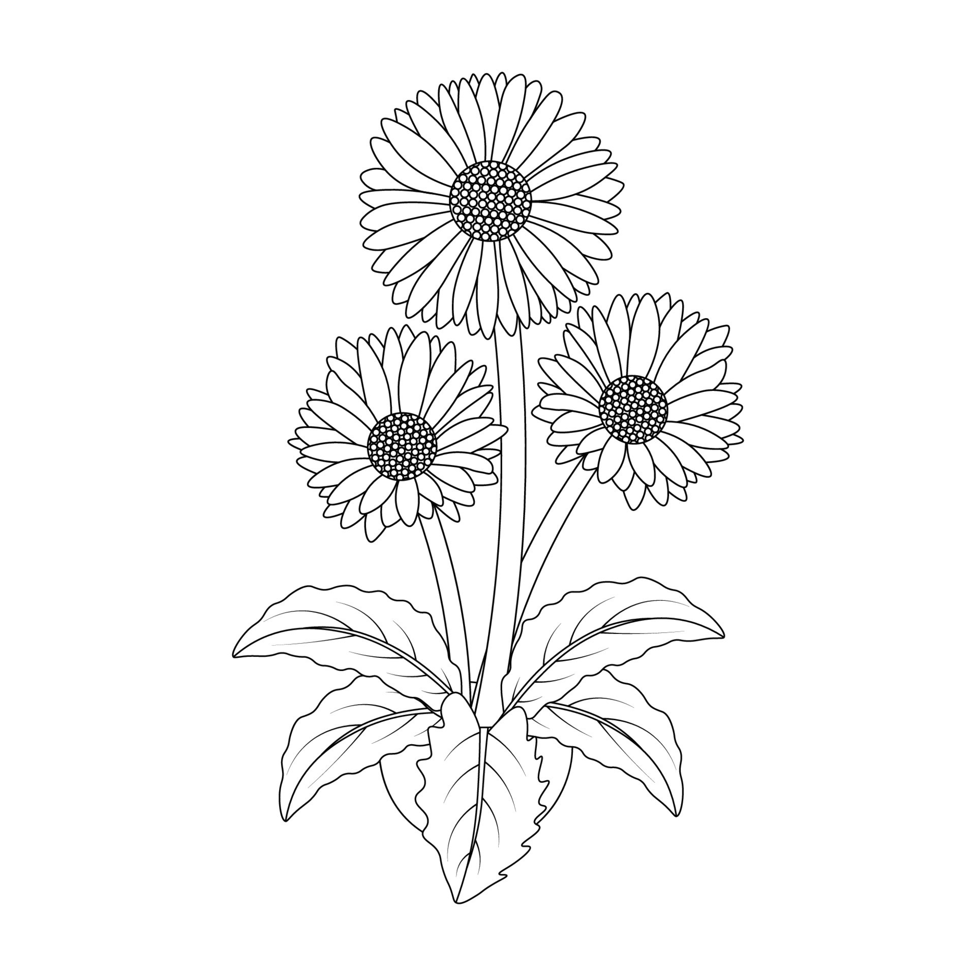 daisy flower drawing kids coloring page with pencil line art design in