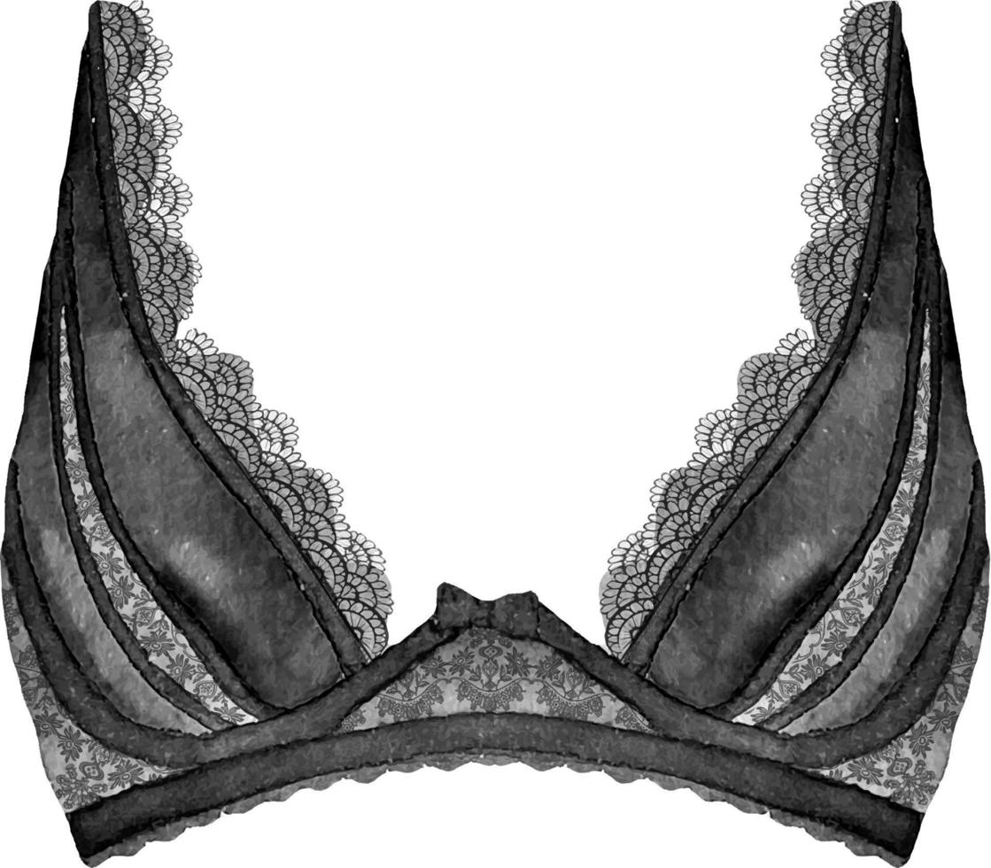 Watercolor black lace bra on white background, isolated watercol vector
