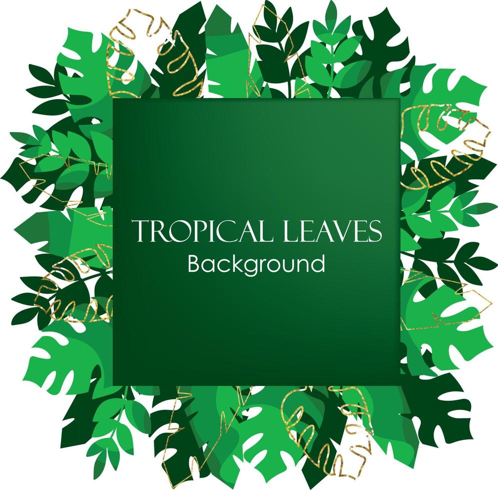 Tropical Decorated with gold lines and white background. Background with palm leaves, banana leaves, and monstera. Shameless pattern tropical leaves frame decoration. Summer iconic tropical island vector