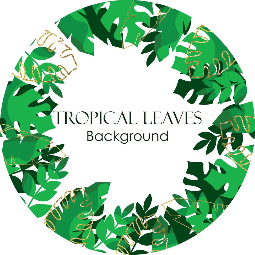 tropical decorado con lineas doradas y fondo blanco. fondo de tarjetas con hojas de palma, hojas de plátano y monstera. patrón desvergonzado de hojas tropicales para la decoración. isla tropical icónica de verano vector