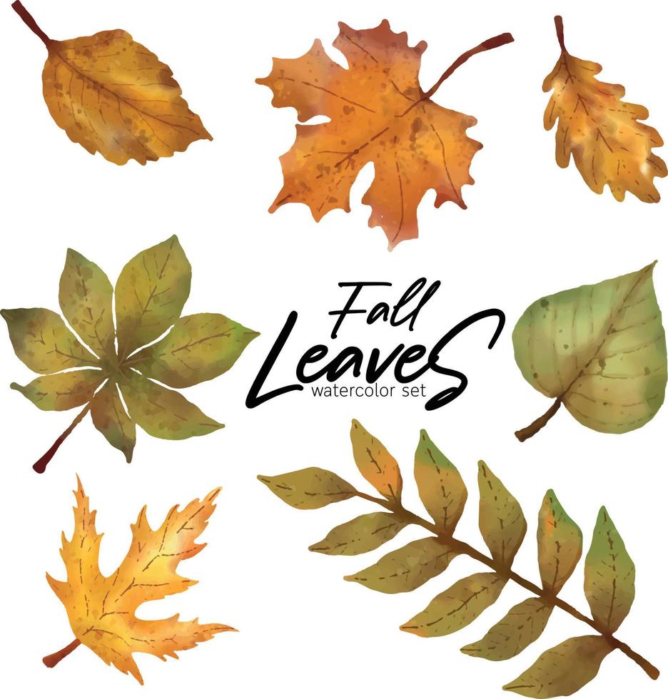 Fall Leaves  watercolor set vector