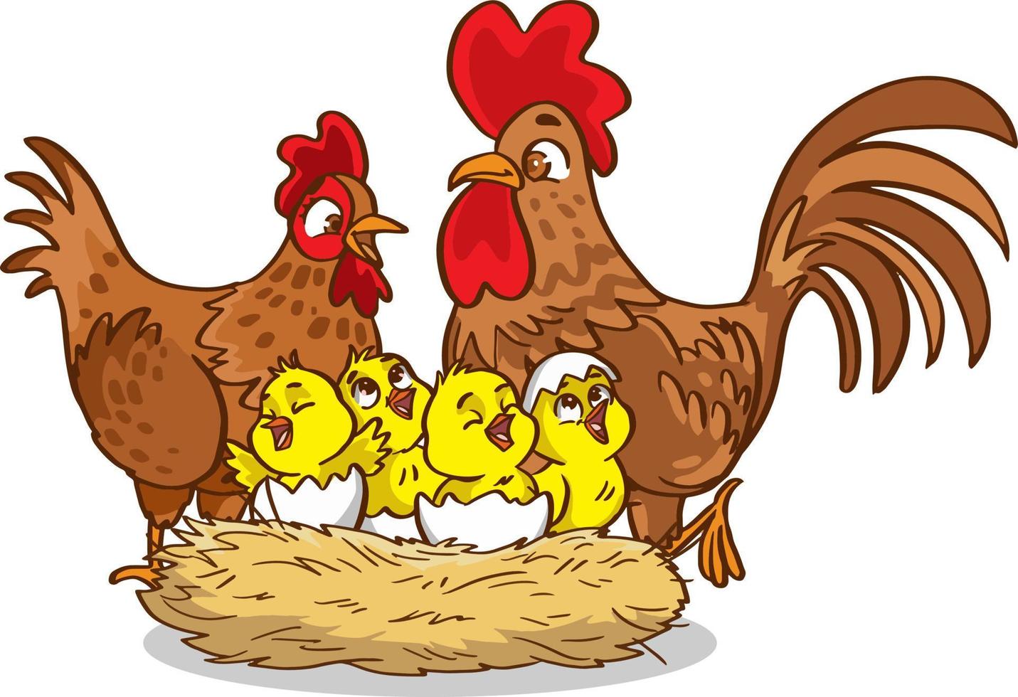 Isolated chicken family on white background vector