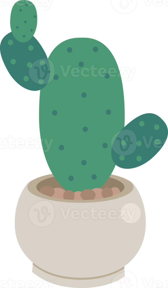 lindo cactus mínimo y suculento en maceta png