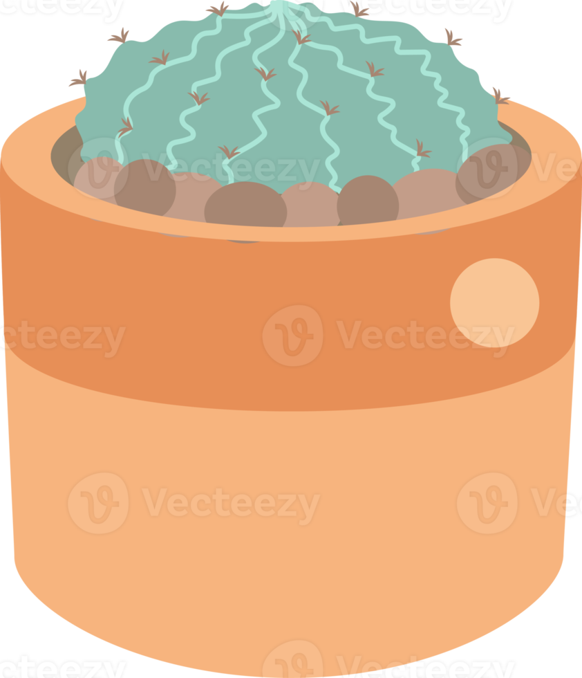 cute minimal cactus and succulent in pot png