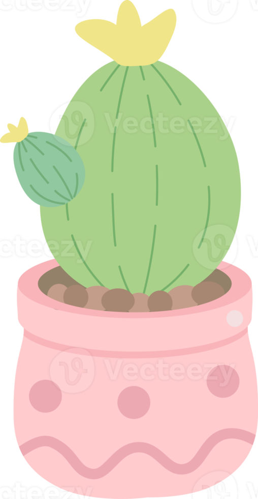 cute minimal cactus and succulent in pot png