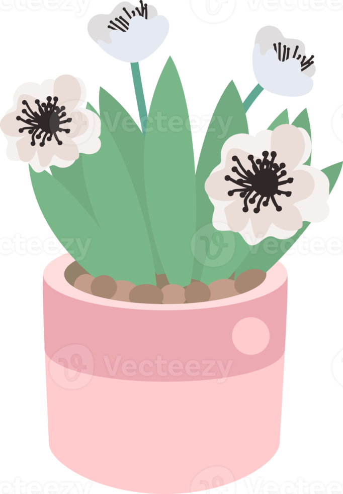 cute tiny flower in pot png