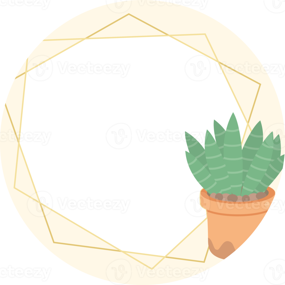 cactus y estilo plano suculento con pegatina de marco geométrico dorado png
