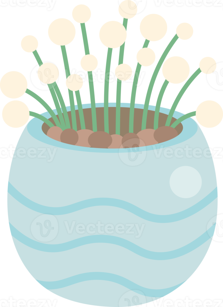 cute tiny flower in pot png