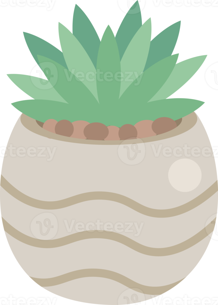 cute minimal cactus and succulent in pot png