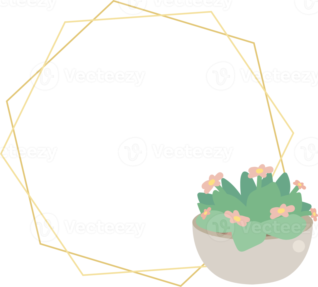 lindo cactus de estilo plano de lujo y suculento con marco dorado geométrico png