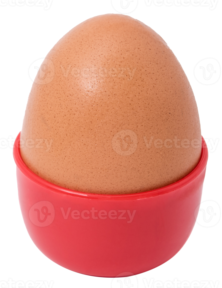 Chicken egg isolated png