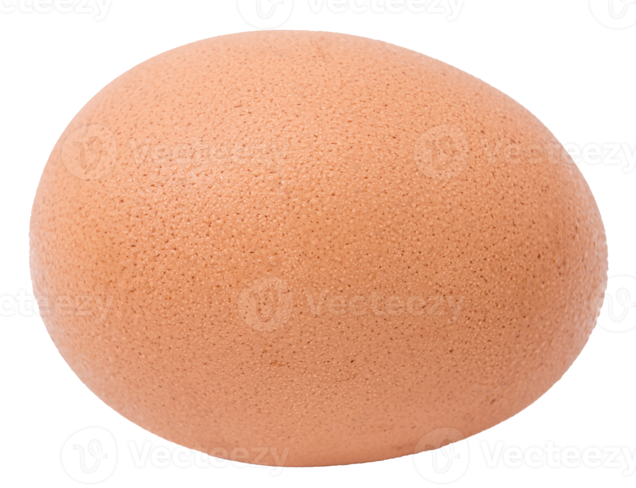 Chicken egg isolated png