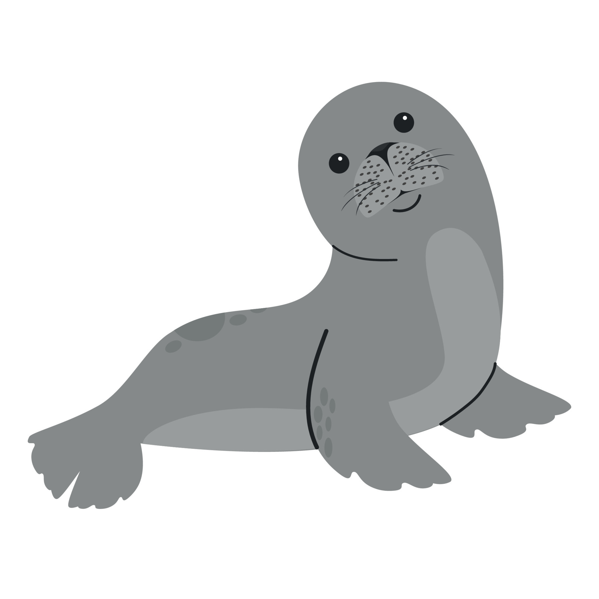 Seal Animal