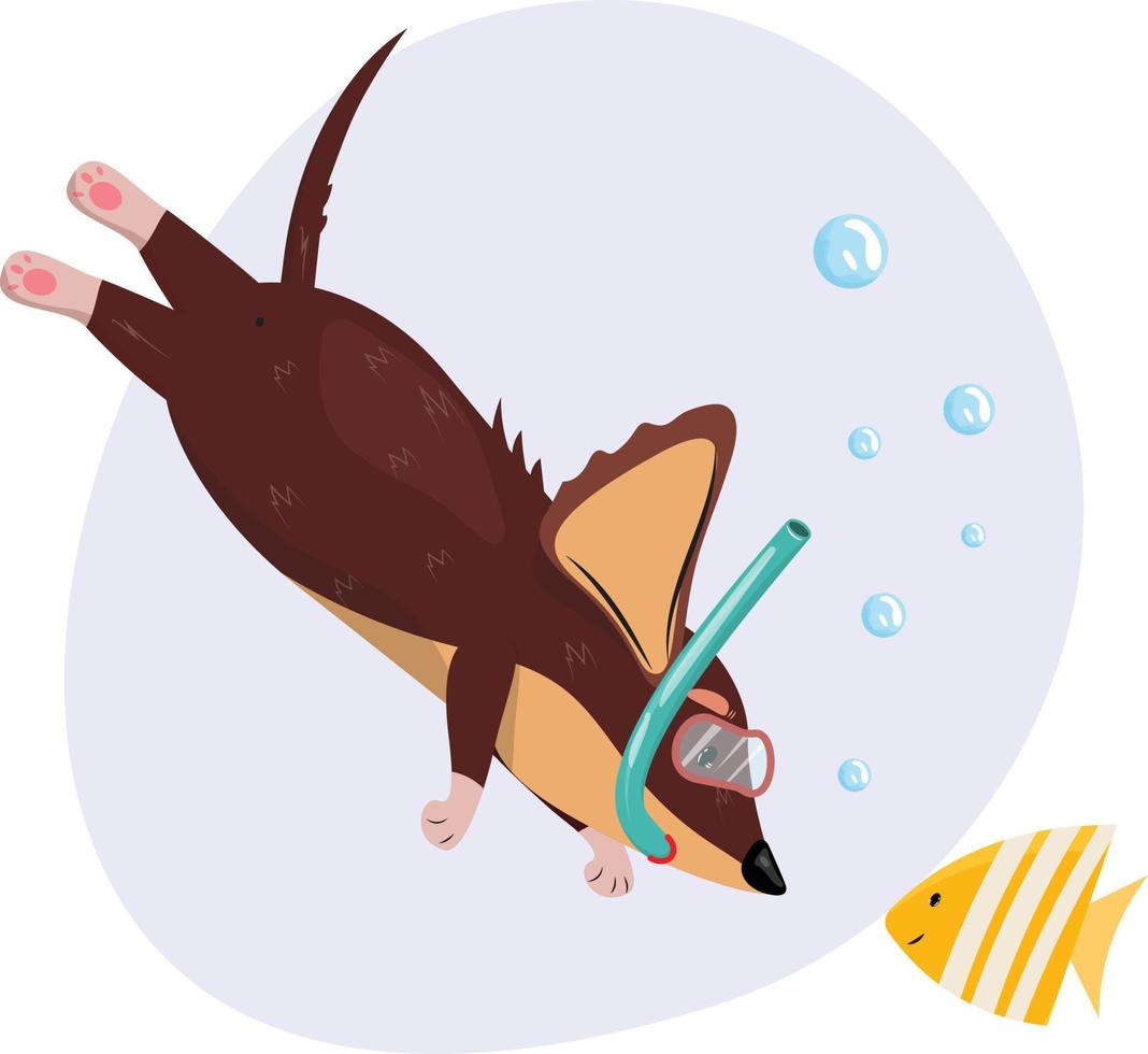 perro buceando en el mar y encontrándose con un pez. ocio, ilustración del concepto de vector de turismo. para carteles, tarjetas, pancartas, impresiones. verano, ilustración tropical con esnórquel dachshund y peces.