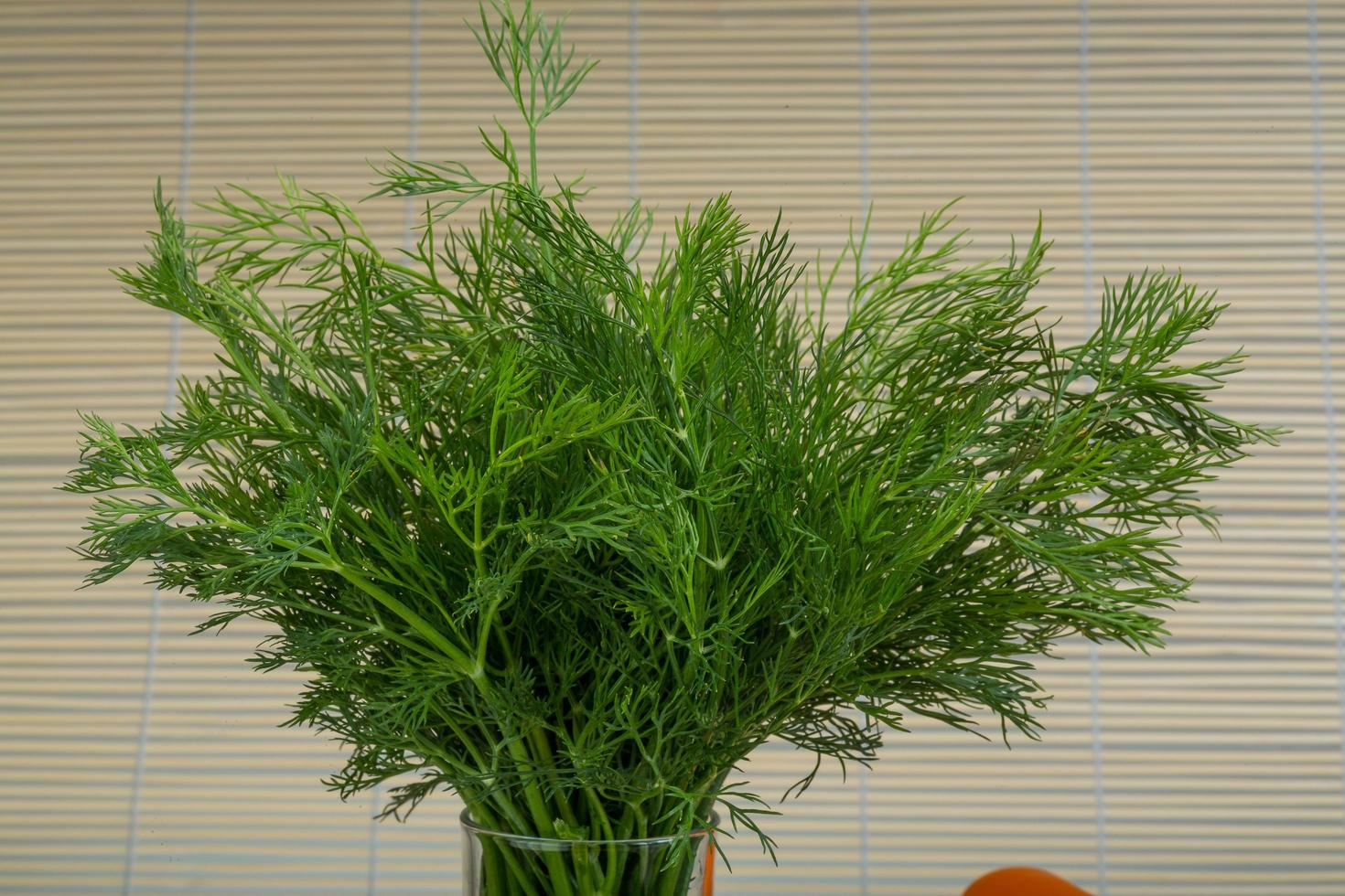 Dill branch on wooden background photo