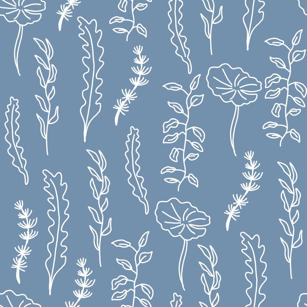 Drawing of Seaweeds vector