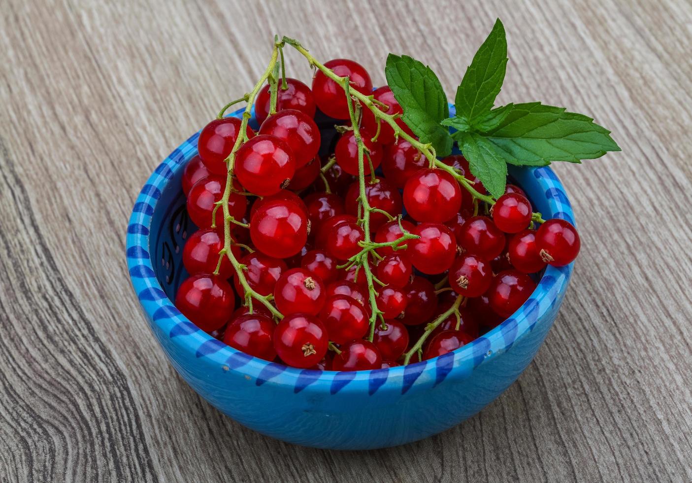 Red currants view photo