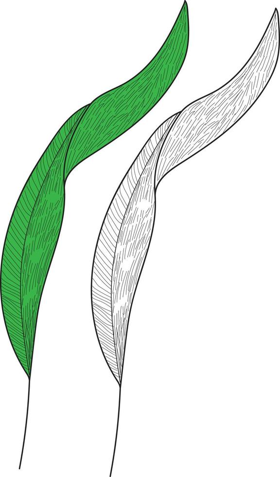 ilustración de vector de hoja