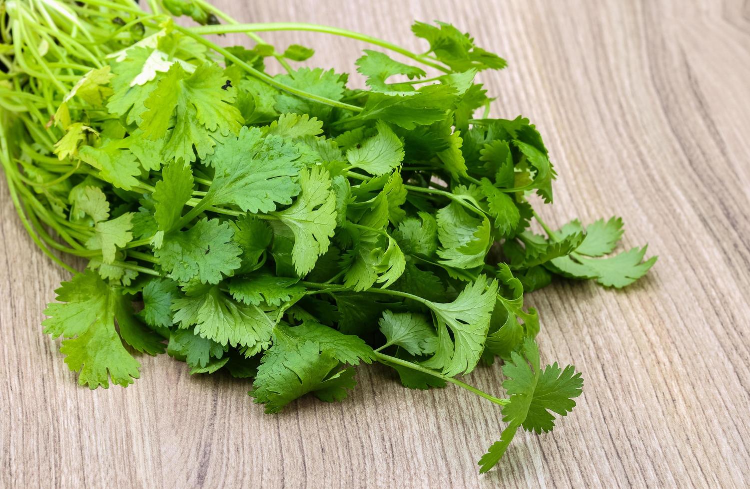 Coriander leaves view 12720034 Stock Photo at Vecteezy