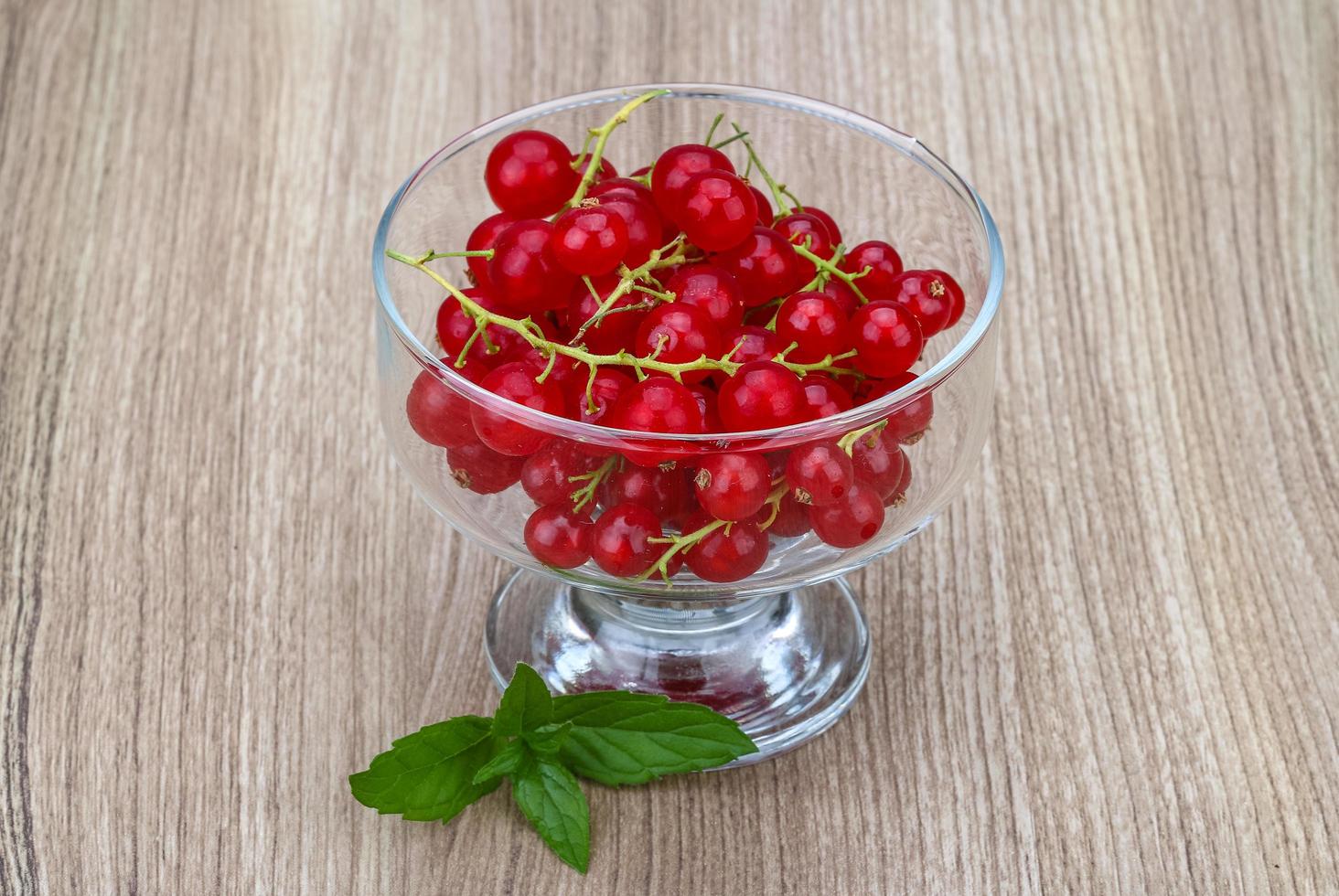 Red currants view photo