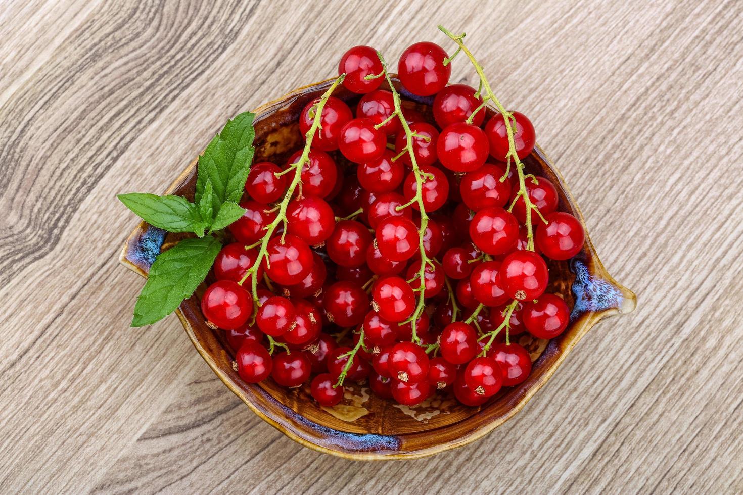 Red currants view photo