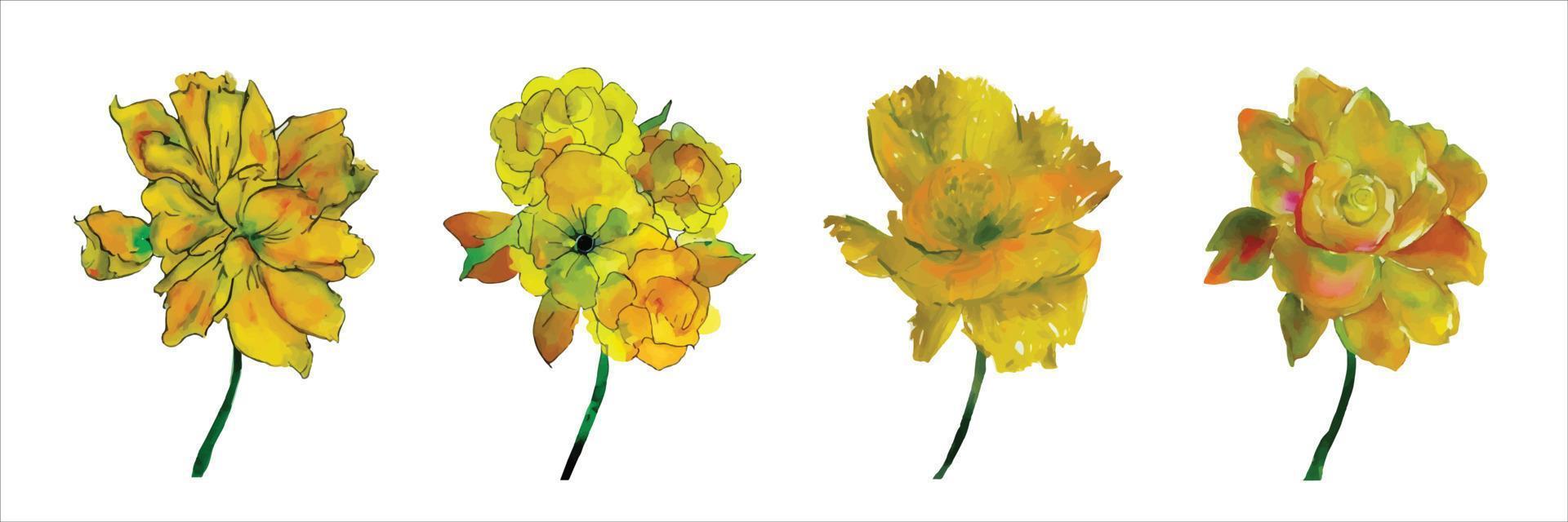 Beautiful watercolor illustration with set of yellow flowers isolated on white background for decorative design. vector