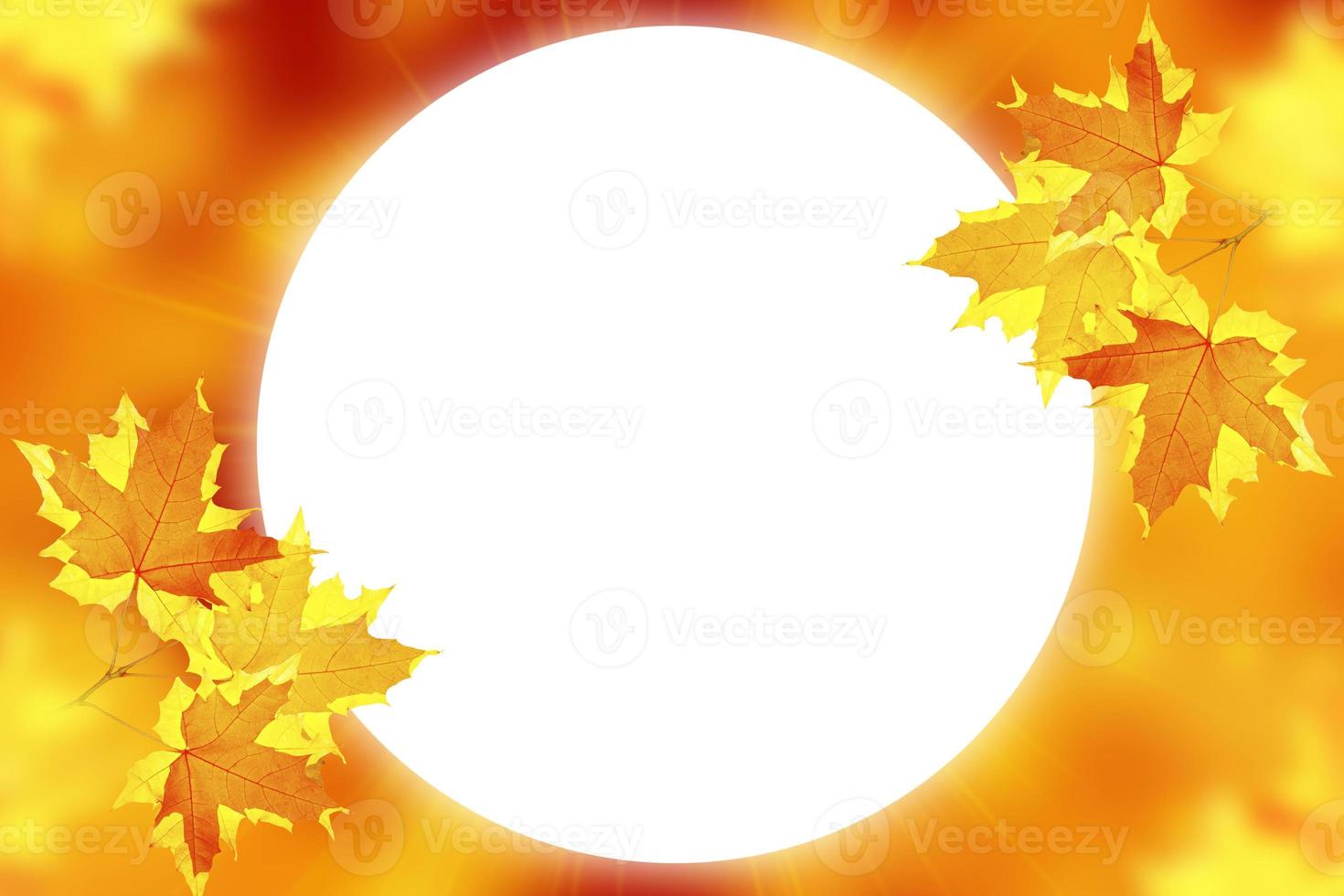 autumn landscape with bright colorful foliage. Indian summer. photo