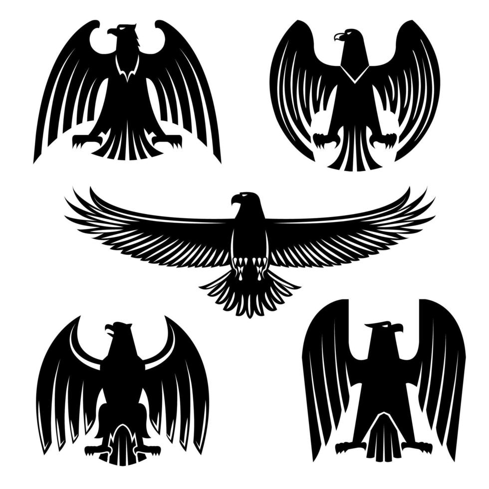 Black eagle, hawk or falcon heraldic symbol set vector