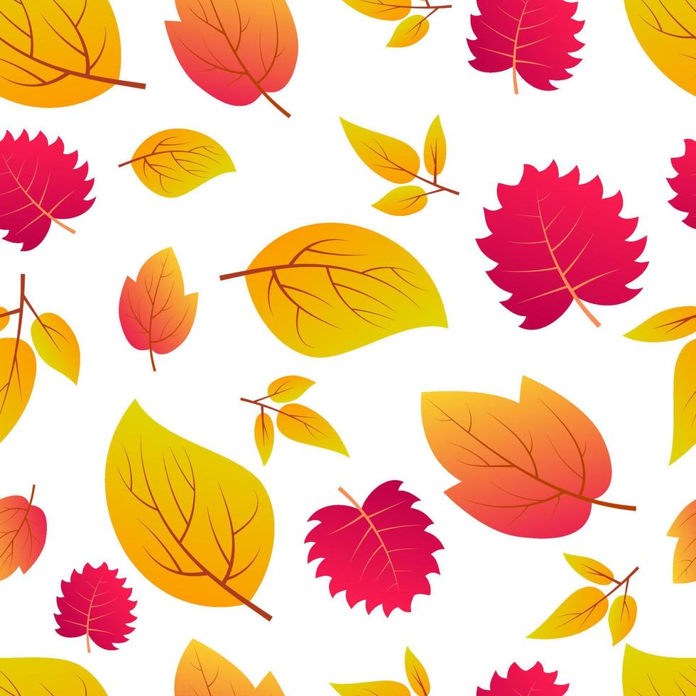 Autumn seamless background with maple colorful leaves. Design for fall season posters, wrapping papers and holidays decorations. Vector illustration