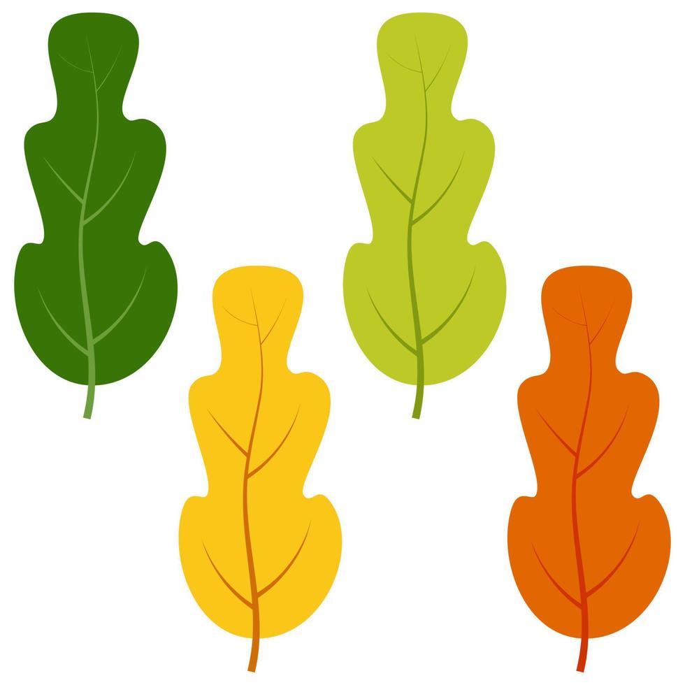 Set of green, yellow and red leaves isolated on white background. Vector illustration of autumn leaves.