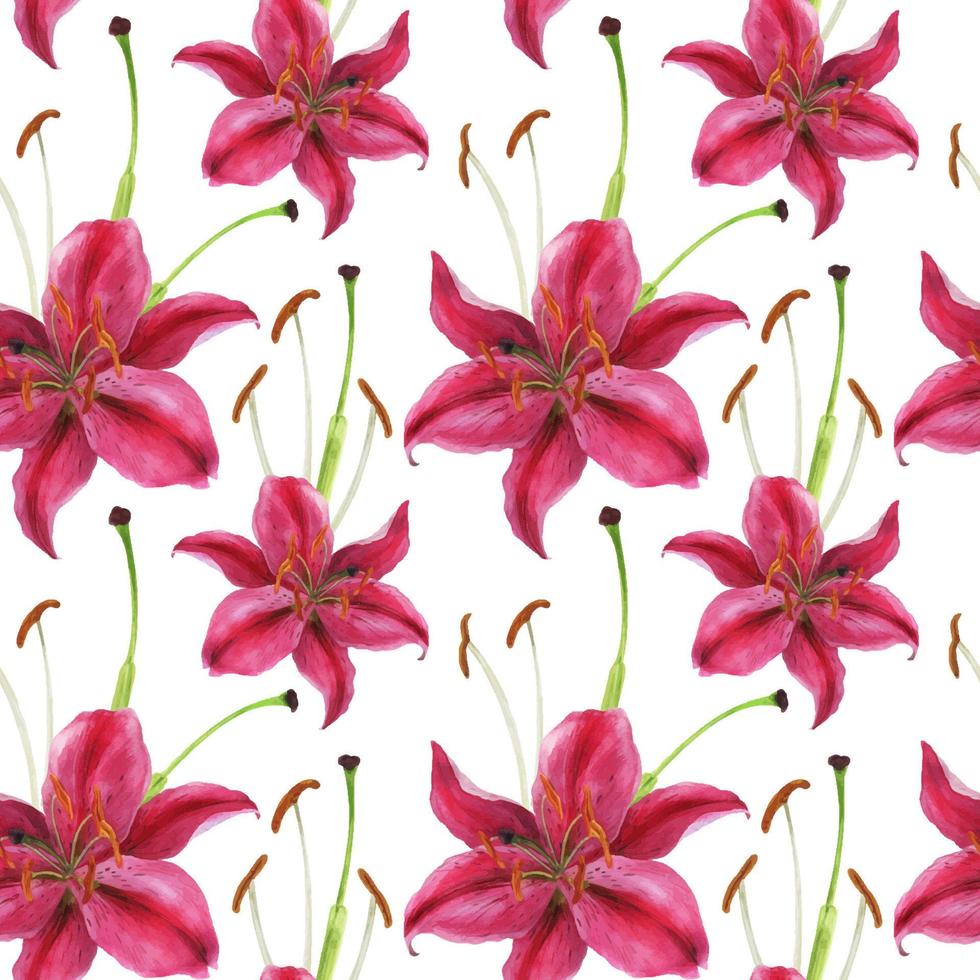 Stargazer lily watercolor pink seamless pattern vector