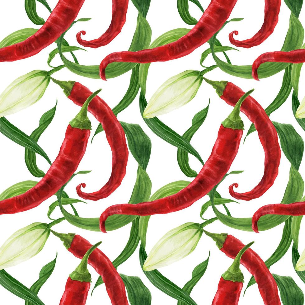 Red chili and lily bud watercolor seamless pattern vector