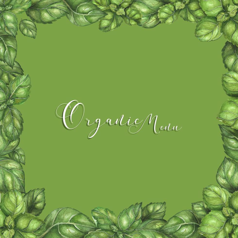 Watercolor frame with green basil leaves vector