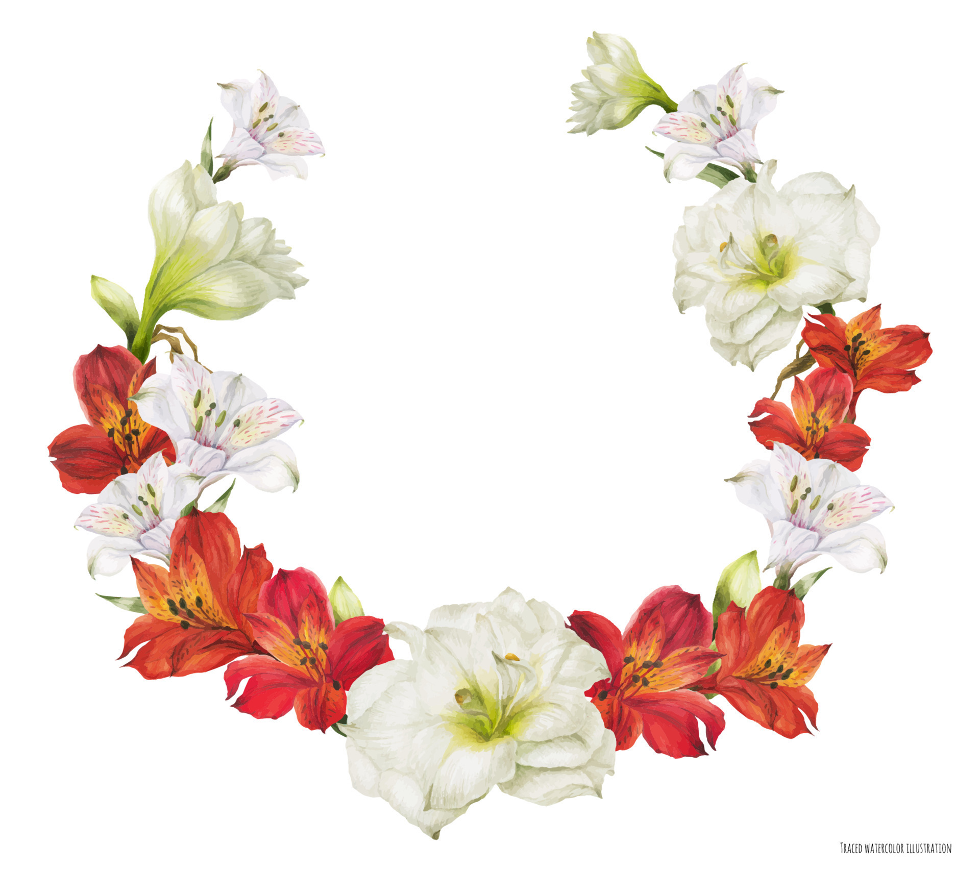 Bridal wreath with red and white flowers 12722690 Vector Art at Vecteezy