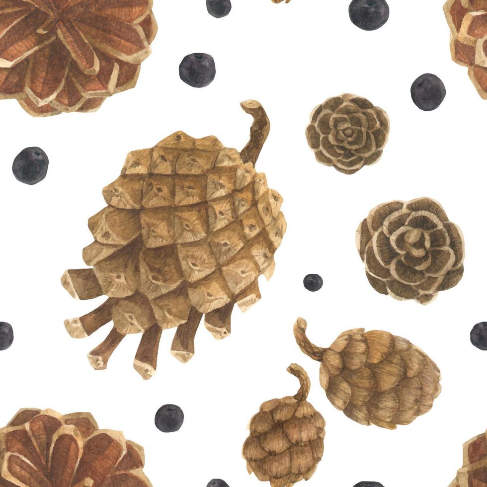 Pine and ceder cones seamles pattern vector