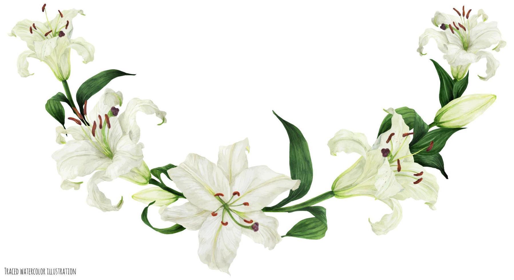 Tropical floral watercolor arc with oriental white lilies vector