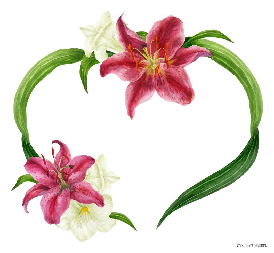 Tropical heart wreath with stargazer lily and freesia vector
