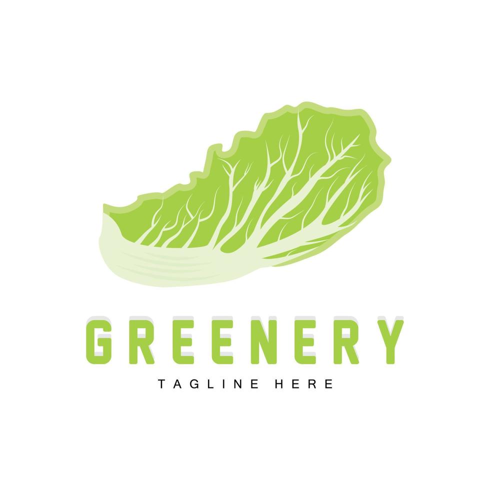 diseño de logotipo de repollo chino vector de planta verde kimchi ingredientes alimentarios