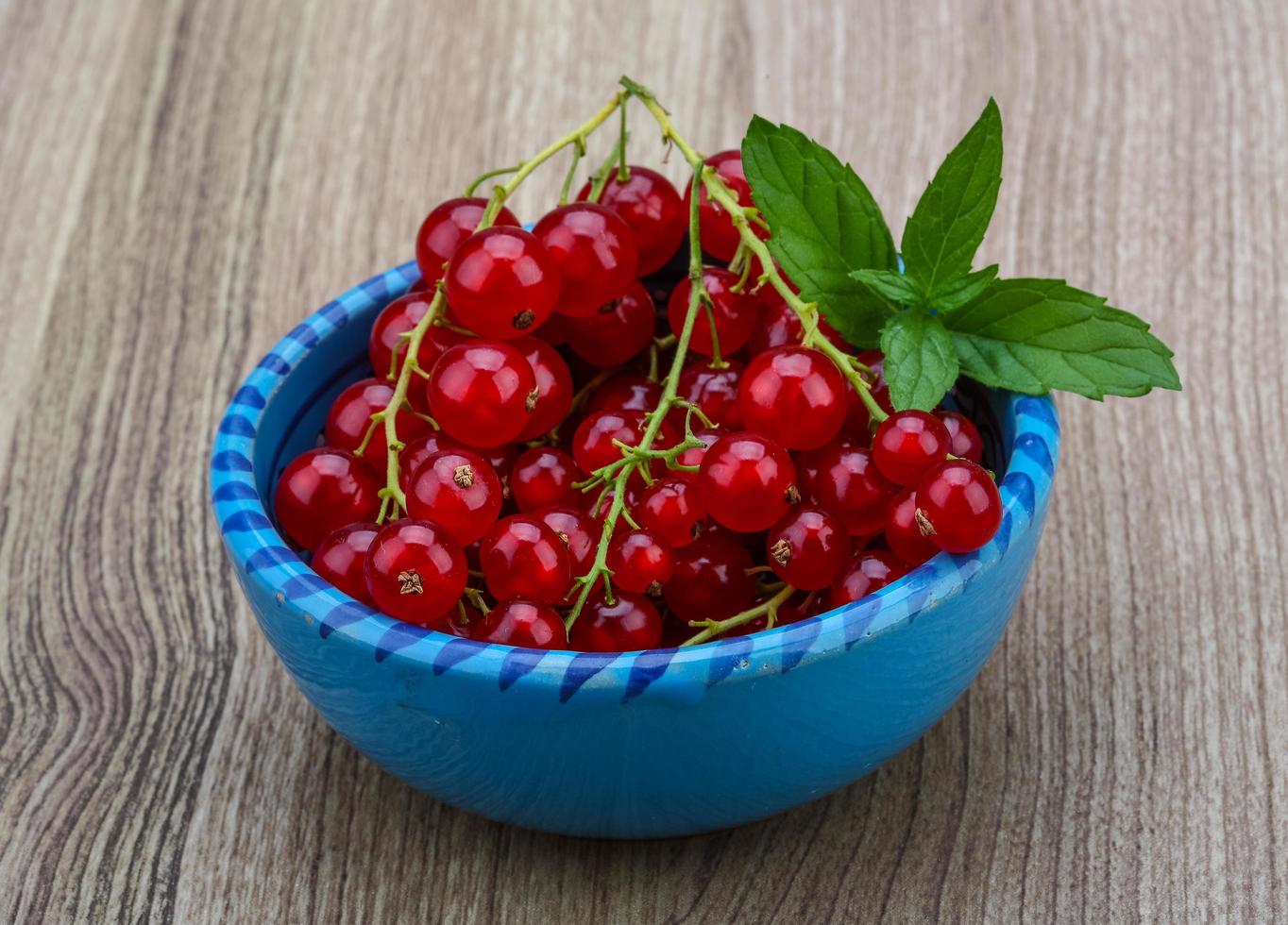 Red currants view photo