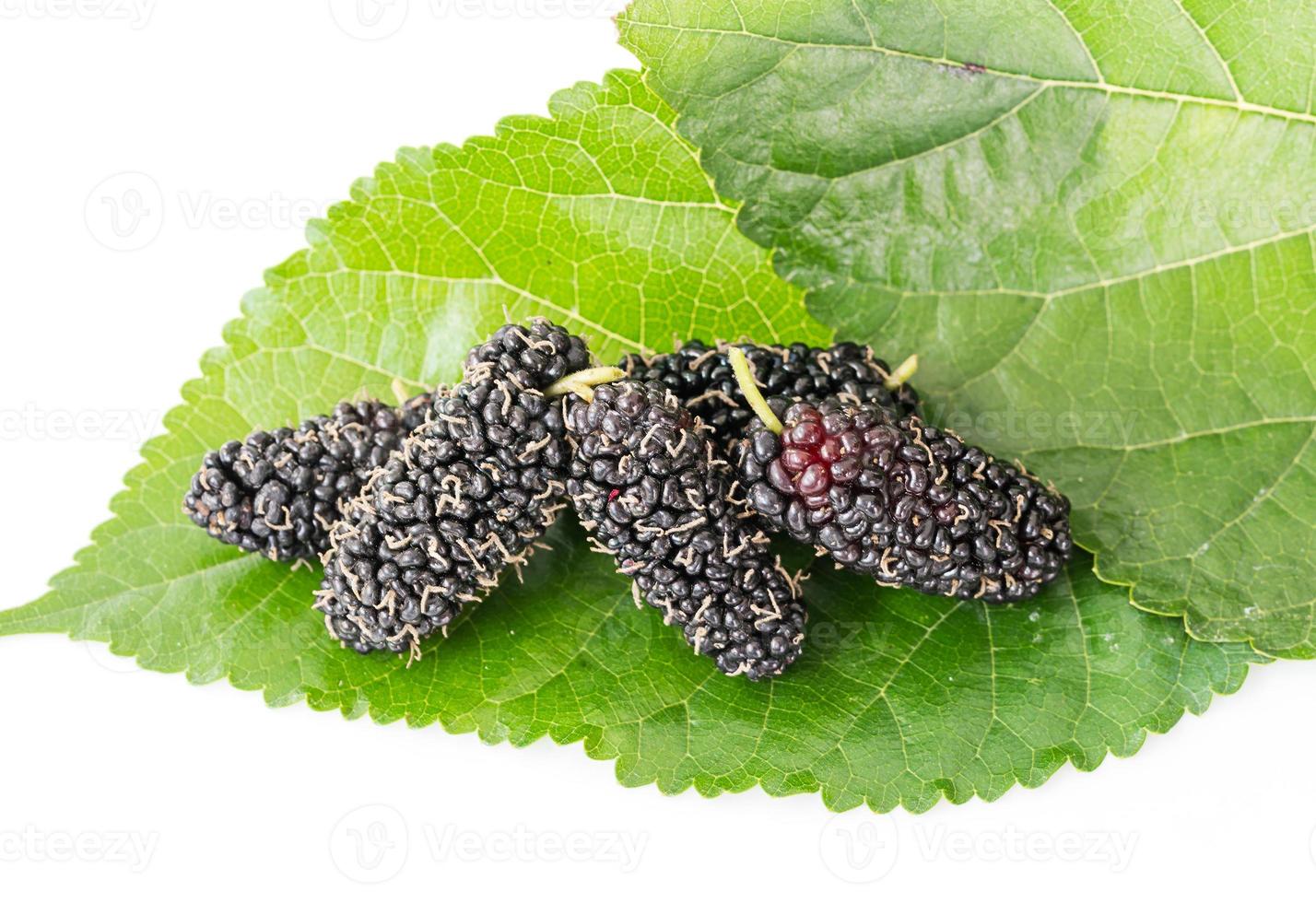 cerrar la fruta de morera con hoja verde foto